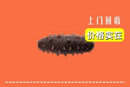 云浮市云城回收海参