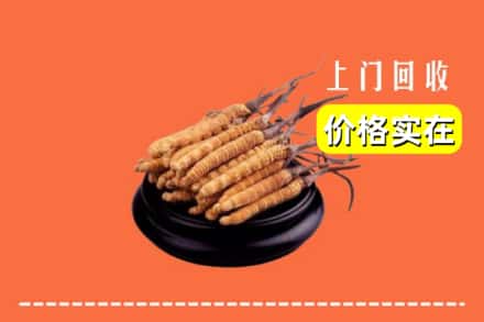 云浮市云城回收冬虫夏草